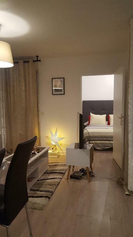 Appartement Spacieux Avec Terrasse Pres De Paris Et Du Stade De France 圣但尼 外观 照片