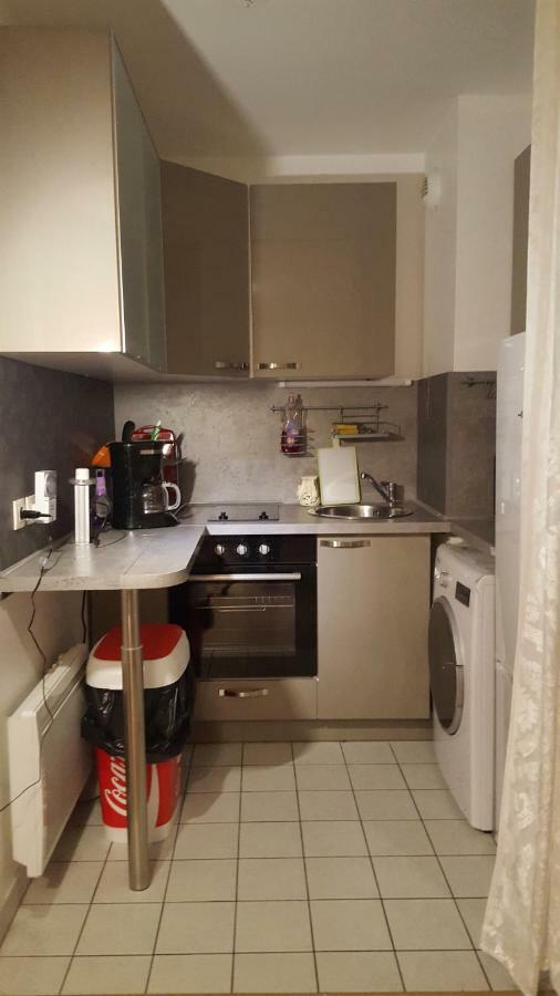 Appartement Spacieux Avec Terrasse Pres De Paris Et Du Stade De France 圣但尼 外观 照片