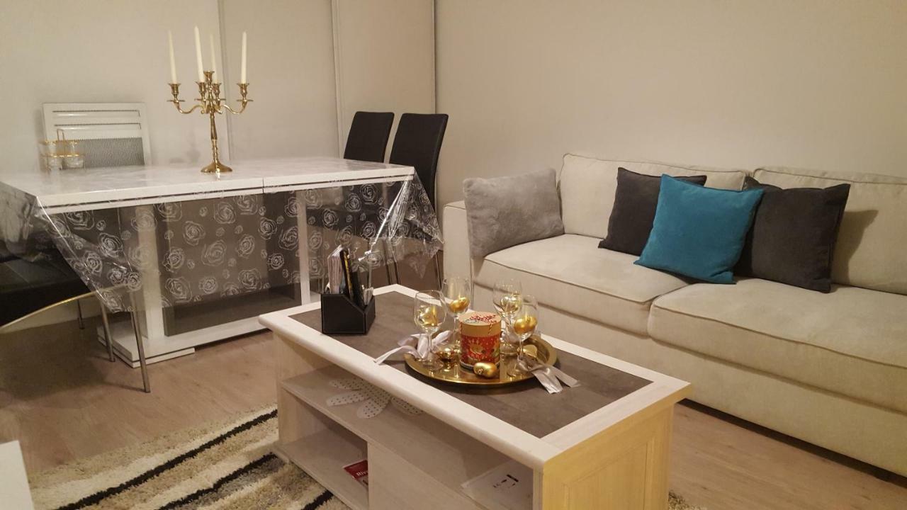 Appartement Spacieux Avec Terrasse Pres De Paris Et Du Stade De France 圣但尼 外观 照片