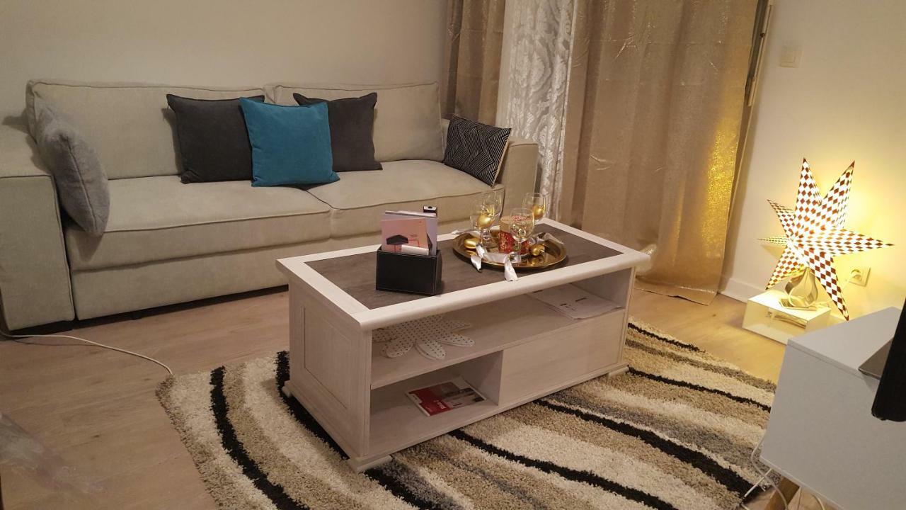Appartement Spacieux Avec Terrasse Pres De Paris Et Du Stade De France 圣但尼 外观 照片